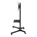 Soporte móvil para pantallas de 19" a 83", con repisa