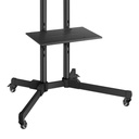 Soporte móvil para pantallas de 19" a 83", con repisa