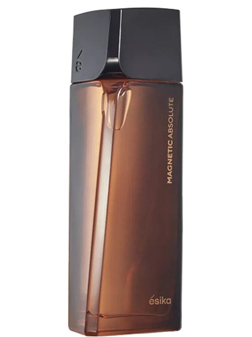 Magnetic Absolute Perfume de Hombre, 100 ml